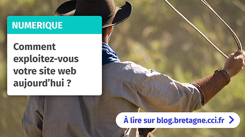 Comment exploitez-vous votre site web ?