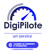 Digipilote