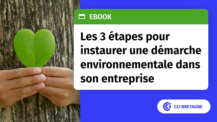 Ebook Développement durable