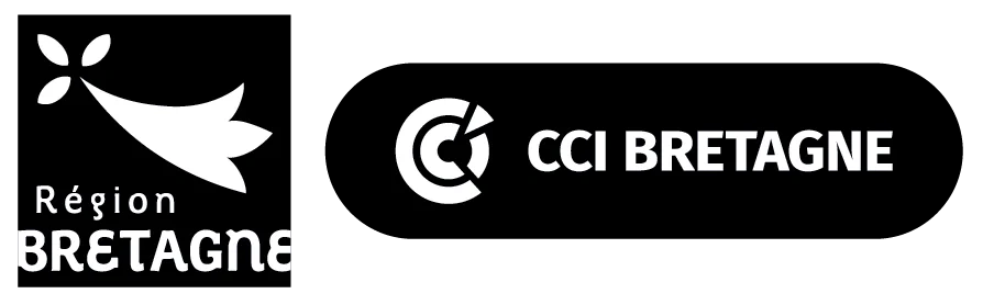 Région Bretagne et CCI Bretagne, les partenaires financiers de BCI