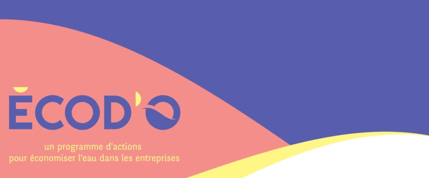 Logo Ecodo et baseline
