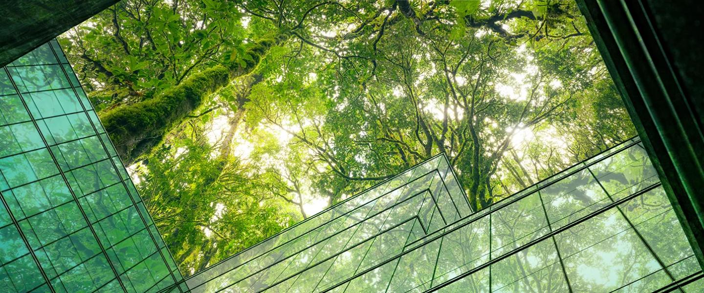 [Développement durable] Industriels, construisez votre feuille de route transition éclogique